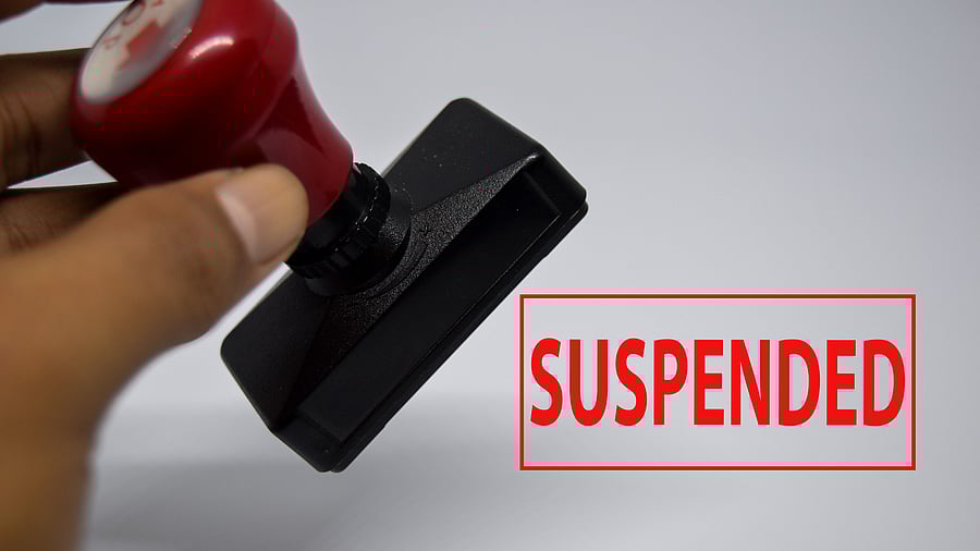 <div class="paragraphs"><p>Representative image of suspension.</p></div>