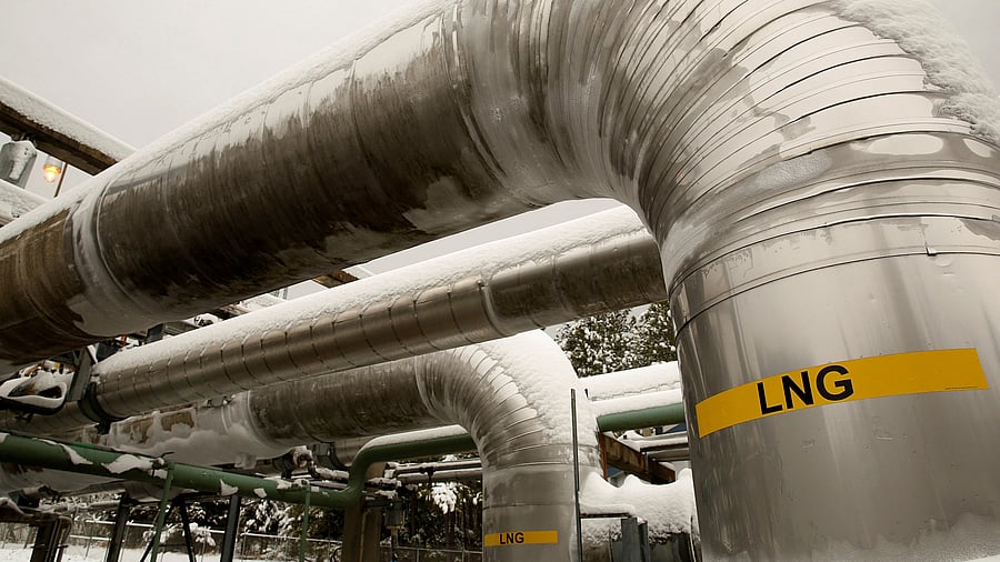 <div class="paragraphs"><p>Representative image.</p></div>