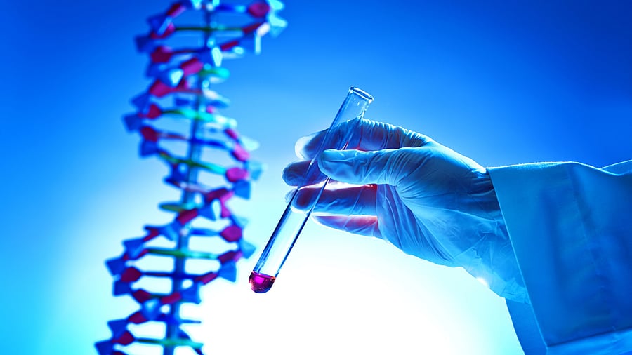 <div class="paragraphs"><p>Representative image of gene study. </p></div>