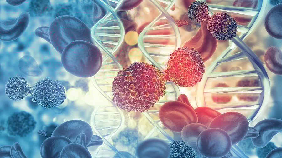 <div class="paragraphs"><p>Representative image of cancer.</p></div>