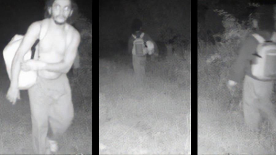 <div class="paragraphs"><p>A man believed to be Danelo Cavalcante was captured on a trail camera in Longwood Gardens, within a few miles from the county prison, on Monday night.</p></div>