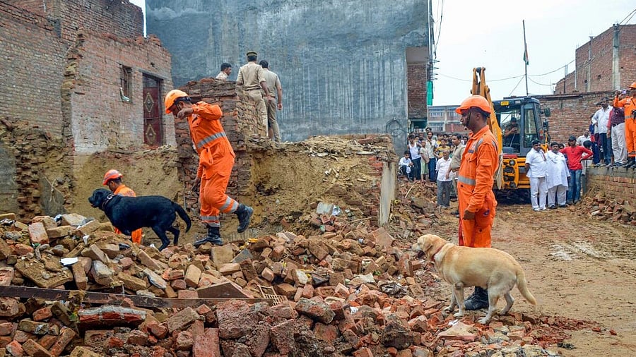 <div class="paragraphs"><p>Rescuers conduct a search operation for people feared buried after a house collapsed due to an explosion, at Loni in Ghaziabad.</p></div>