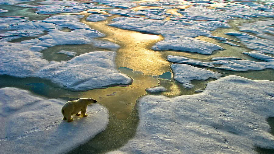 <div class="paragraphs"><p>Representative image of ice melting in the Arctic region of Russia.&nbsp;</p></div>