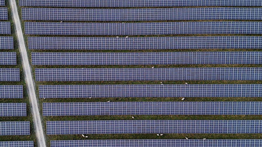 <div class="paragraphs"><p>Representative image of solar park.</p></div>