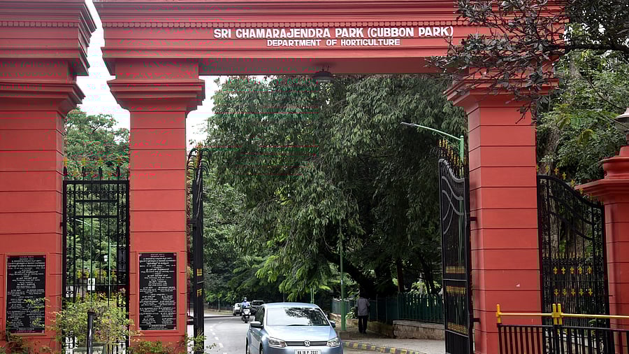 <div class="paragraphs"><p>The public has raised concerns over a half-a-kilometre stretch of the park's core area becoming more vehicle-friendly rather than people-friendly. </p></div>