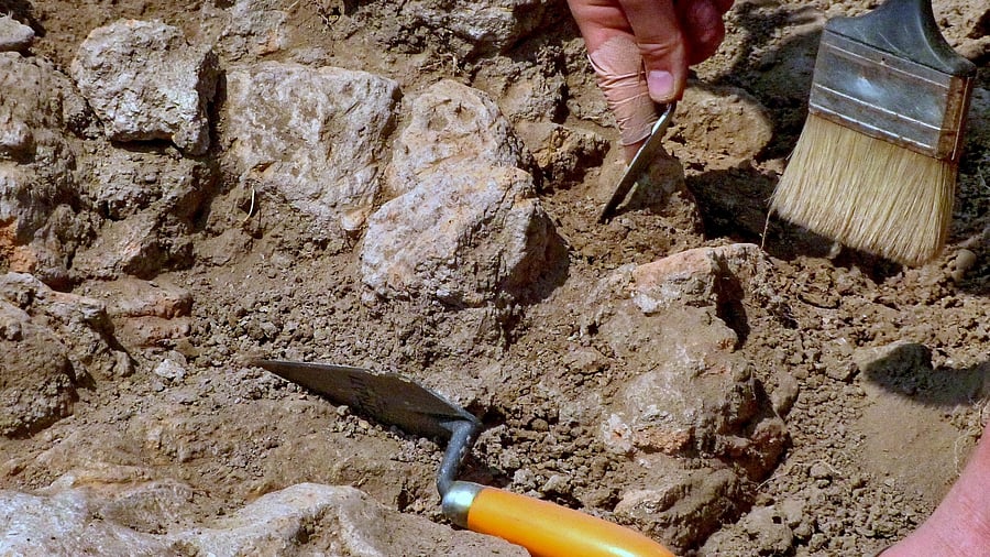 <div class="paragraphs"><p>Representative image of&nbsp;archaeological restoration.</p></div>