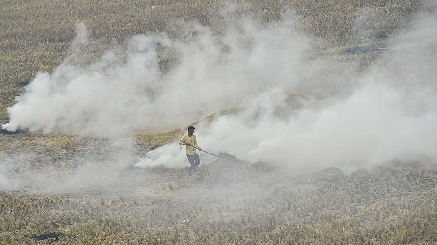 <div class="paragraphs"><p>Of the 1,030 stubble burning incidents reported on Monday, Sangrur recorded a maximum of 198 such cases, followed by 129 in Tarn Taran, 124 in Ferozepur and 80 in Mansa. </p></div>