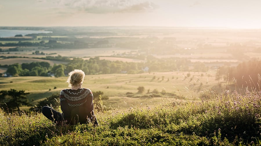 <div class="paragraphs"><p>Representative image for nature.</p></div>