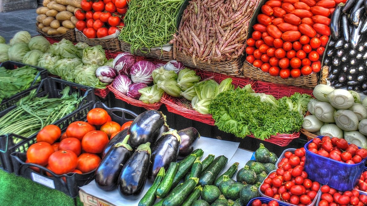Research flags heavy metal contamination in vegetables across Bengaluru