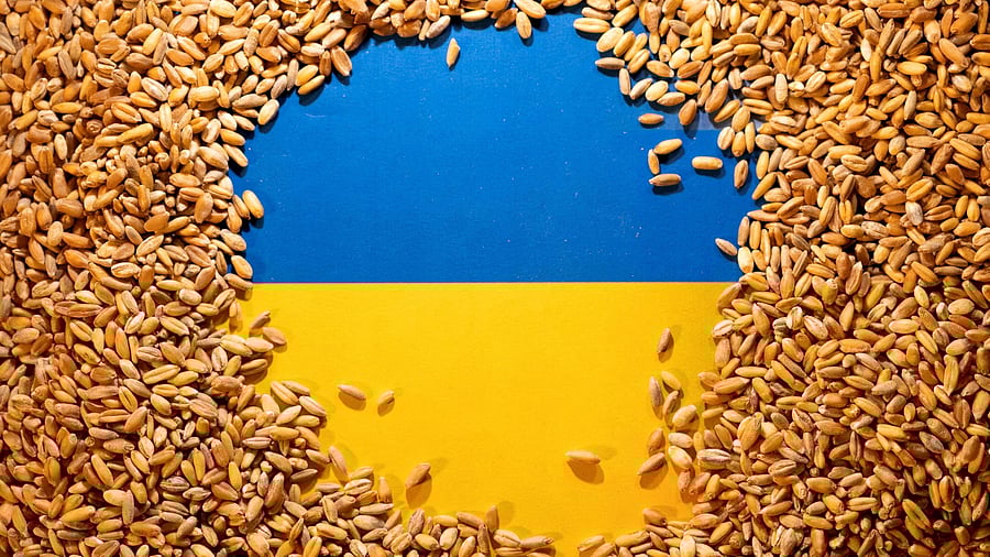 <div class="paragraphs"><p>Ukrainian flag covered with grains.</p></div>