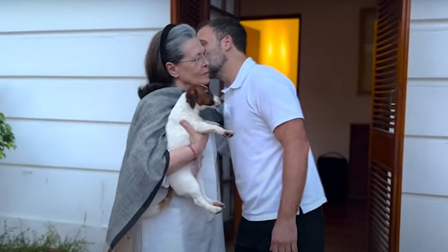 <div class="paragraphs"><p>A screengrab of the video shared by Rahul Gandhi showing Sonia Gandhi and their pet dog 'Noorie'.</p></div>