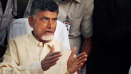 <div class="paragraphs"><p>TDP president N Chandrababu Naidu </p></div>