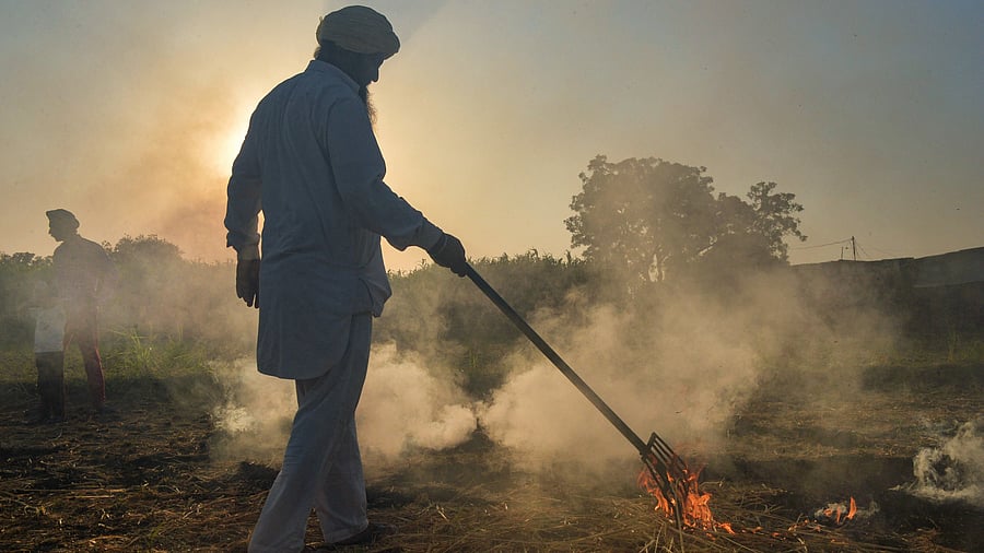 <div class="paragraphs"><p>A farmer burns paddy stubble. </p></div>