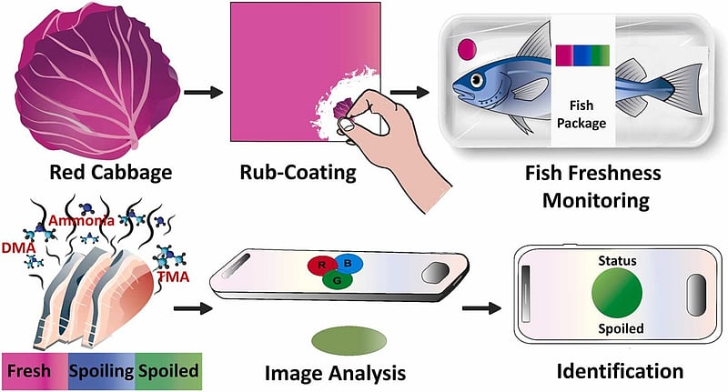 R Fish Smart A rub and a click to smart-check your fish