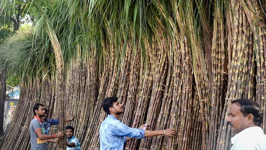 <div class="paragraphs"><p>Representative image. </p></div>