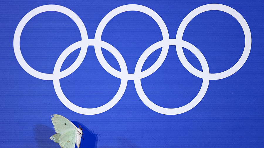 <div class="paragraphs"><p>A moth is pictured next to the olympic rings logo.</p></div>