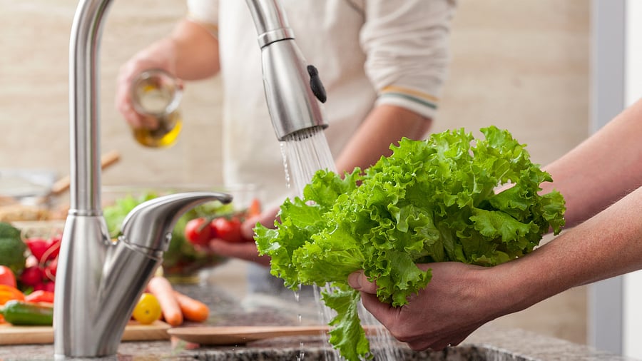 <div class="paragraphs"><p>Washing fresh vegetables for a salad with an alive oil Artificial colours.</p></div>