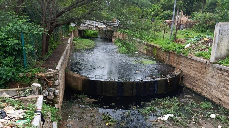 <div class="paragraphs"><p>Leachate from the waste processing centre at Lingadeeranahalli. </p></div>