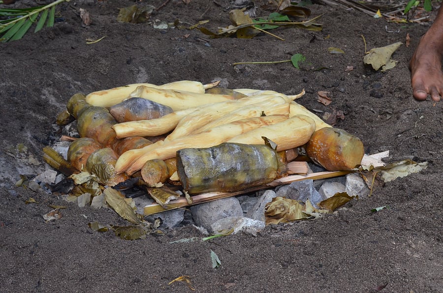 <div class="paragraphs"><p>Fijian lovo of cooked staples. </p></div>