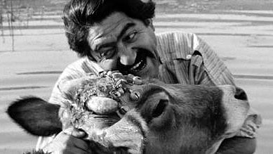 <div class="paragraphs"><p>'The Cow' (1969) is regarded as the film that ushered in the new wave movement in Iranian cinema. </p></div>