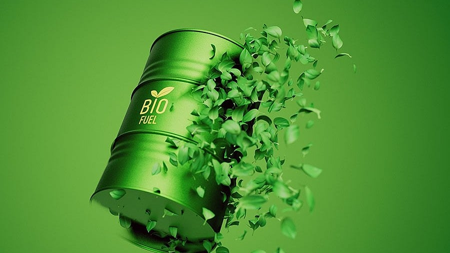 The state government has set up four biofuel parks in Dharwad, Hassan, Kalaburagi, and Bengaluru.