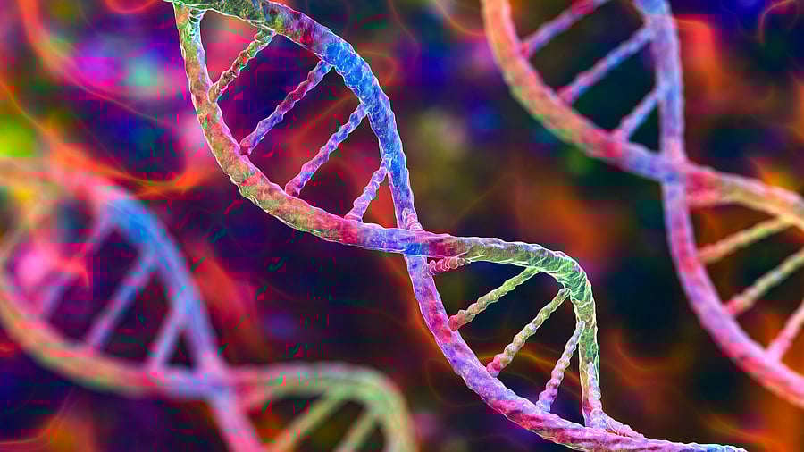 <div class="paragraphs"><p>Representative image showing human gene.</p></div>