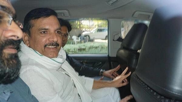 <div class="paragraphs"><p> AAP MP Sanjay Singh.</p></div>
