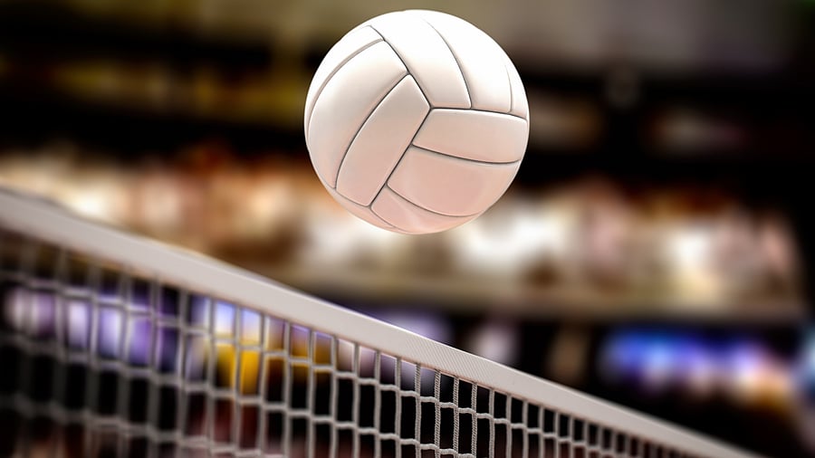 <div class="paragraphs"><p>Representative image of&nbsp;volleyball.</p></div>