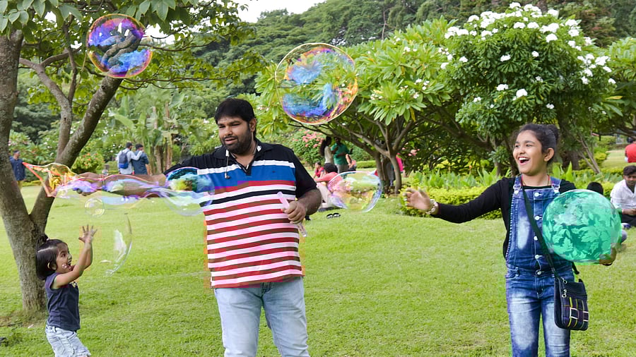 <div class="paragraphs"><p>A family plays together in Cubbon Park. </p></div>