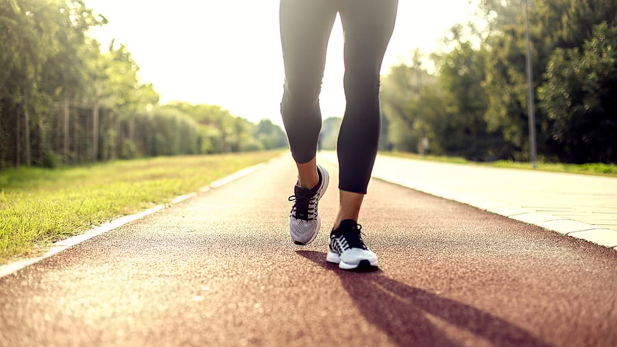 <div class="paragraphs"><p>Representative image of walking track.</p></div>