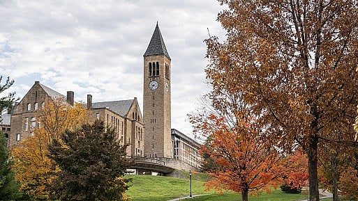 <div class="paragraphs"><p>Cornell University</p></div>