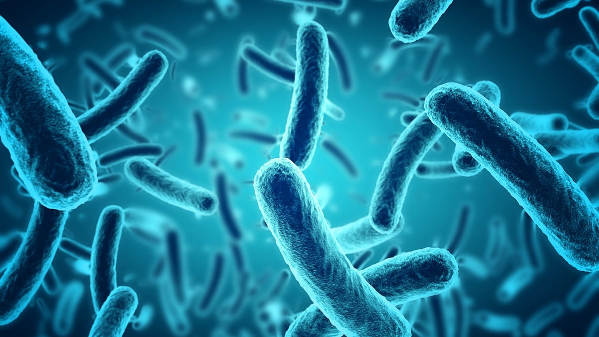 Nanopillars to toughen up soft surfaces, bust bacteria, reveals new ...