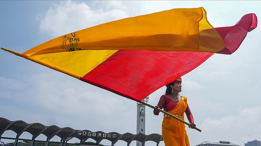 <div class="paragraphs"><p>Representative image of Karnataka flag.</p></div>