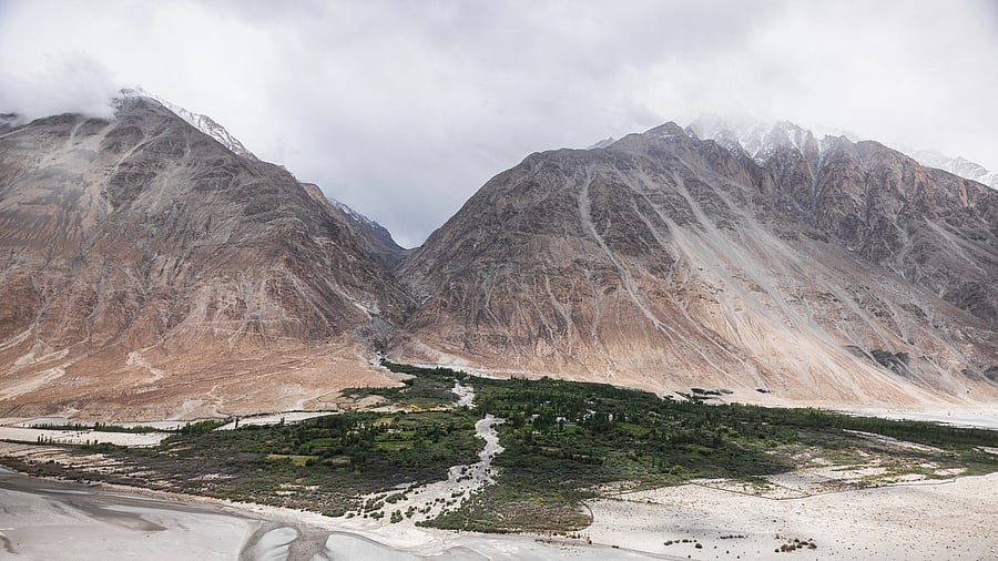 <div class="paragraphs"><p>A view of the forsts and mountains of Kashmir.</p></div>