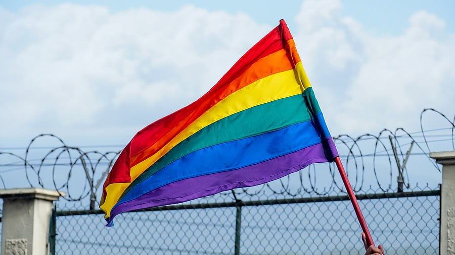 <div class="paragraphs"><p>Representative image showing a pride flag.</p></div>