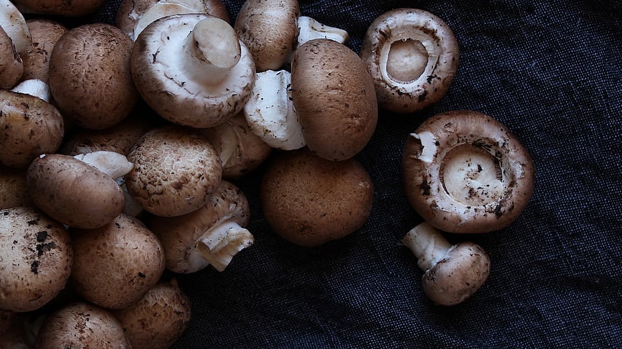 Portabello mushrooms