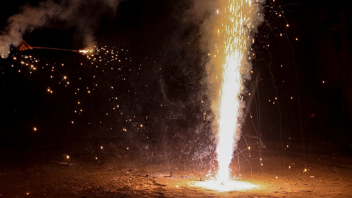 Not only court's duty, people should themselves stop using firecrackers: SC