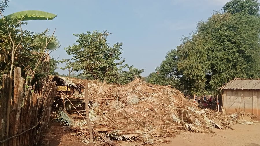 <div class="paragraphs"><p>Destroyed huts of protestors.</p></div>