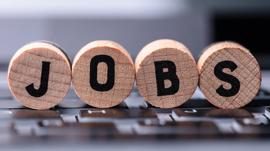 <div class="paragraphs"><p>On the face of it, this massive increase in workforce is quite impressive. But, is it really so? Where has the employment grown?</p></div>