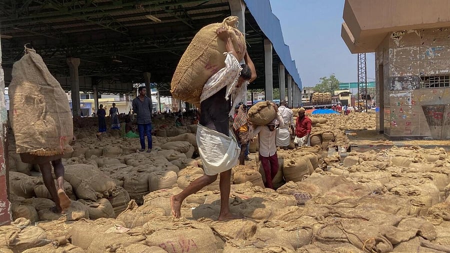 <div class="paragraphs"><p>Representative image of labourers working under the sun. </p></div>