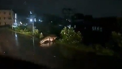 <div class="paragraphs"><p>Screengrab from the video of the crocodile sighting.&nbsp;</p></div>