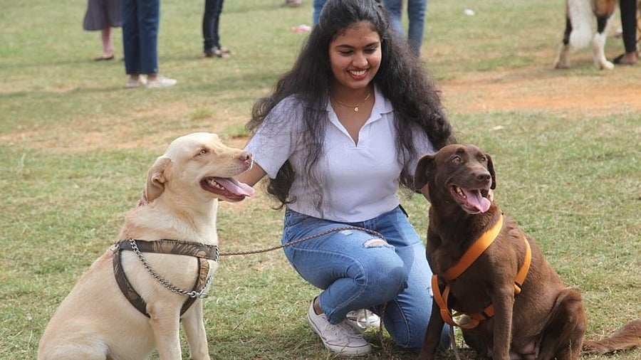 <div class="paragraphs"><p>Special breeds such as the Akita, Maltese, Schnauzer, Afghan hound, and others captivated the onlookers with their distinctive features and personalities.</p></div>