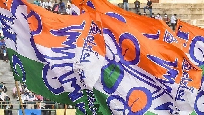 <div class="paragraphs"><p>Representative image of a TMC flag. </p></div>