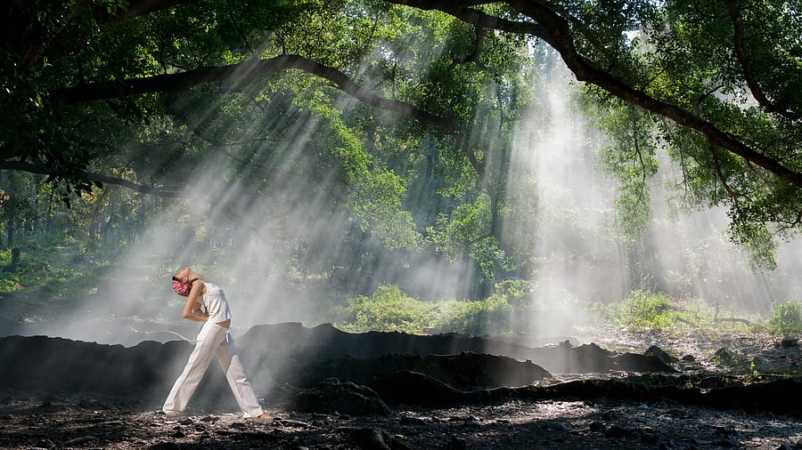 <div class="paragraphs"><p>Wellness</p></div>