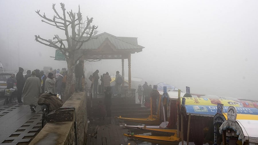 <div class="paragraphs"><p>Tourists at Dal Lake amid dense fog as intense cold wave continues in Kashmir valley, in Srinagar.</p></div>