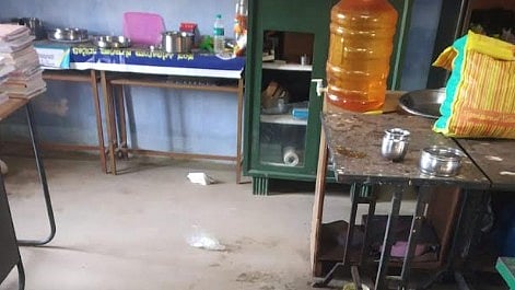 <div class="paragraphs"><p>The bear feasted on food items and damaged the furniture.</p></div>