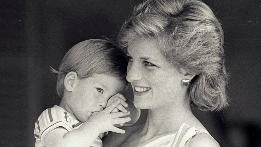 <div class="paragraphs"><p> Princess Diana.</p></div>