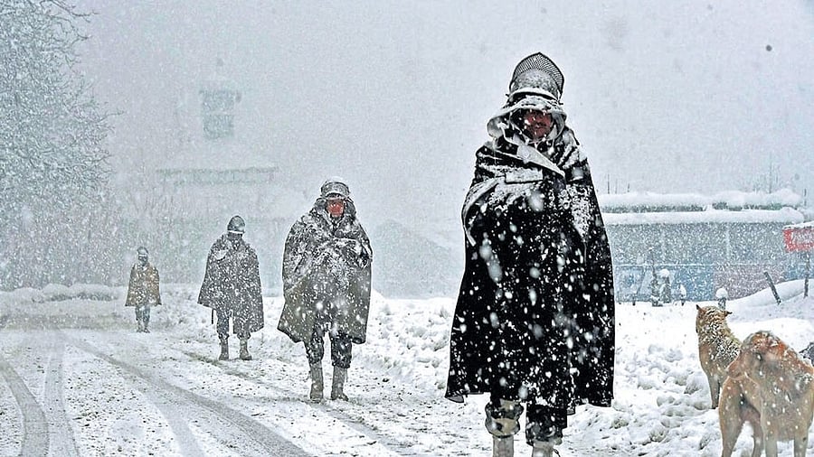 <div class="paragraphs"><p>With 40-day period of harshest winter, locally known as the 'Chilla-i-Kalan', in progress, the weather office has predicted further dip in the temperatures.  </p></div>