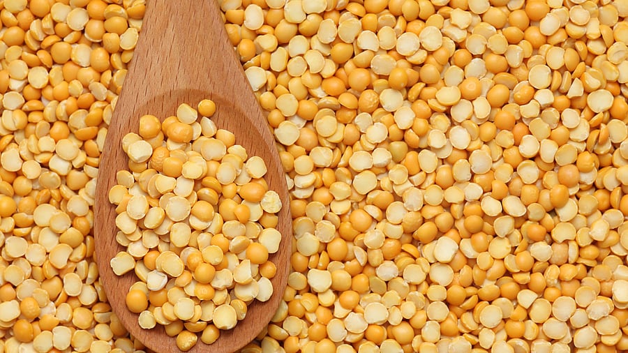 <div class="paragraphs"><p>Representative image of split yellow peas.</p></div>