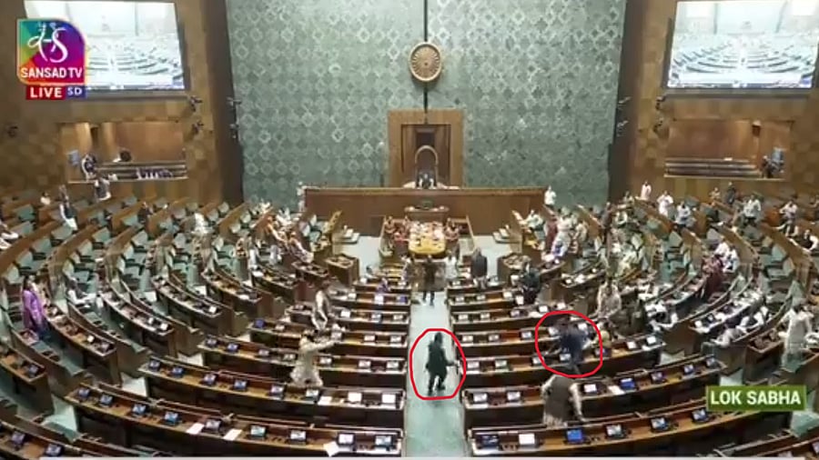 <div class="paragraphs"><p>Screengrab of video showing intruders in the Lok Sabha.</p></div>